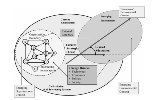 The process of effective organizational adaptation